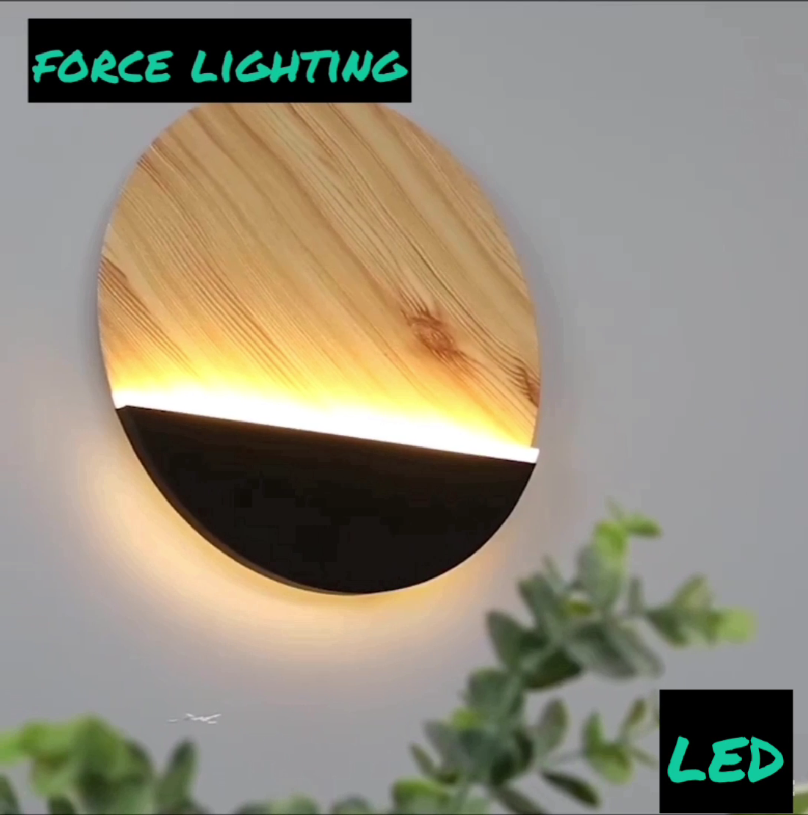 Cohen 1-Light Dome Pendant