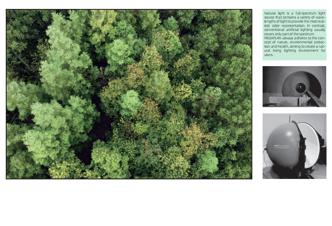 Cohen 1-Light Dome Pendant